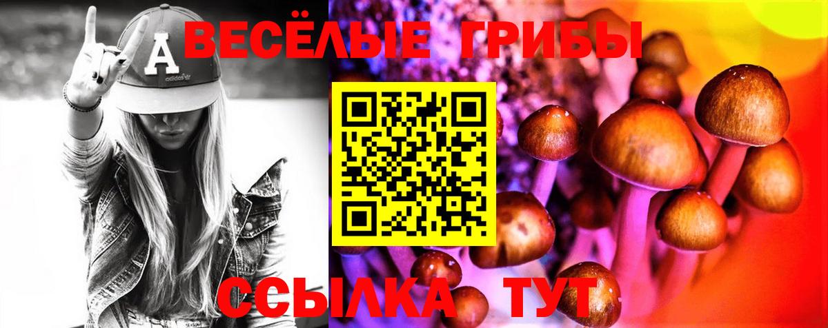 Ковров  Псилоцибиновые грибы Magic Shrooms  Вход с VPN 